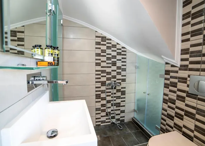 Sunshine Junior 하니아